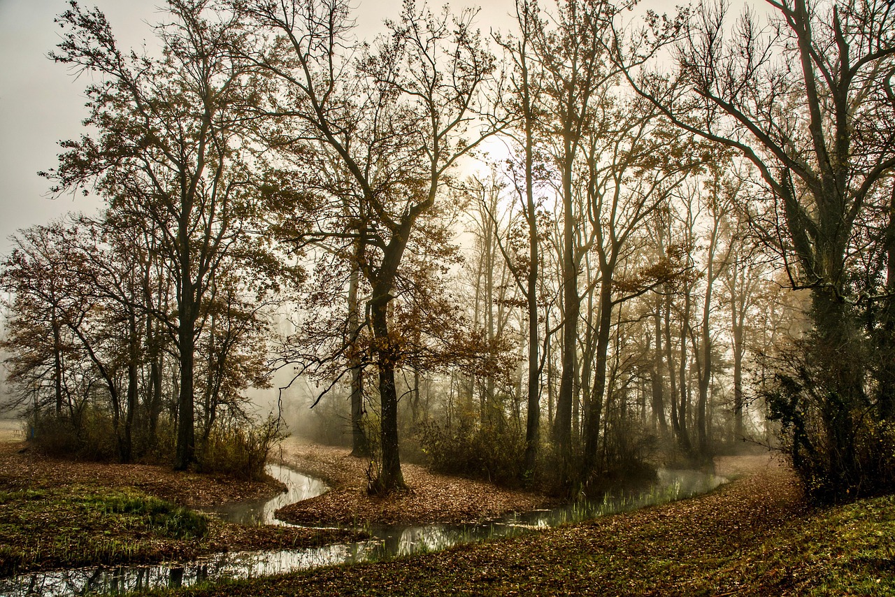 When the Fog Rolls In: Navigating Coastal Climbing in Low Visibility